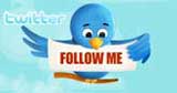 feed twitter